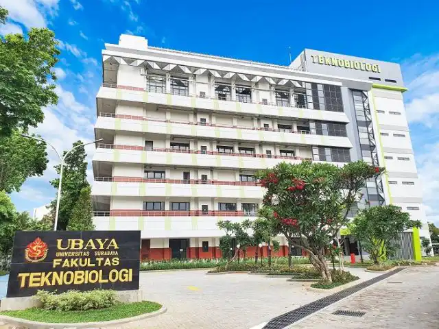 46. Universitas Surabaya