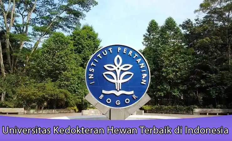 Universitas Kedokteran Hewan Terbaik di Indonesia