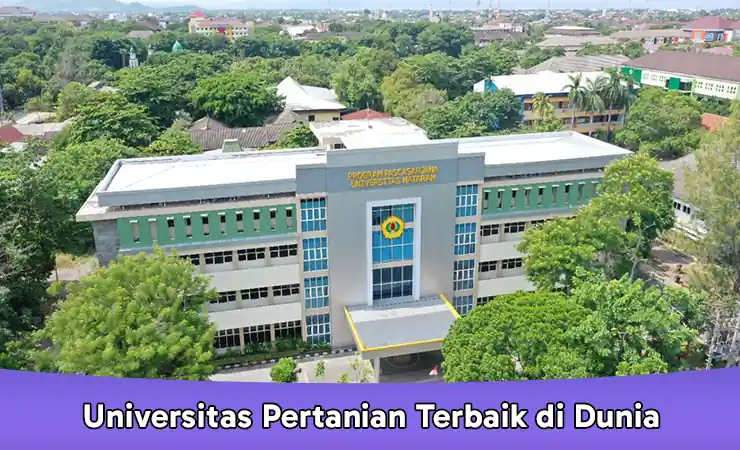 Universitas Terbaik di NTB