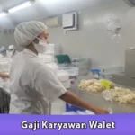 Gaji Karyawan Walet