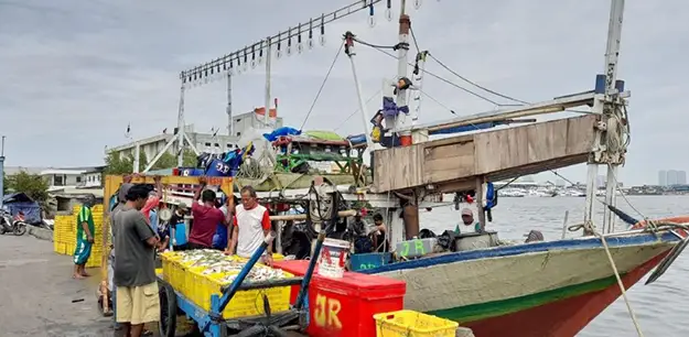 Daftar Gaji ABK Kapal Cumi Indonesia