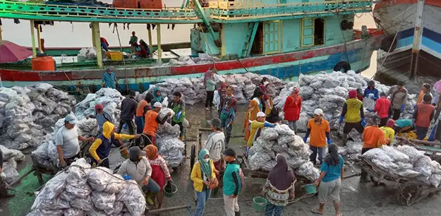 Resiko Kerja ABK Kapal Cumi Indonesia